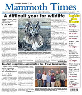 Cover of Mammoth Times