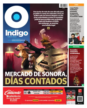 Cover of Reporte Indigo Nacional