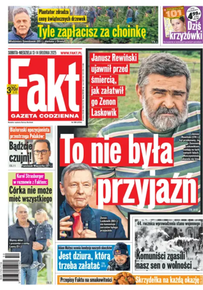 Cover of Fakt