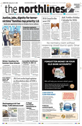 Cover of The Northlines