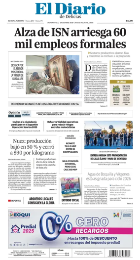 Cover of El Diario de Delicias