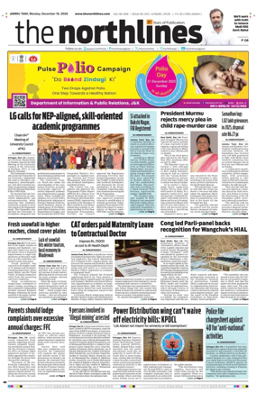 Cover of The Northlines