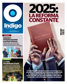 Cover of Reporte Indigo Nacional