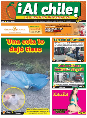 Cover of Al chile