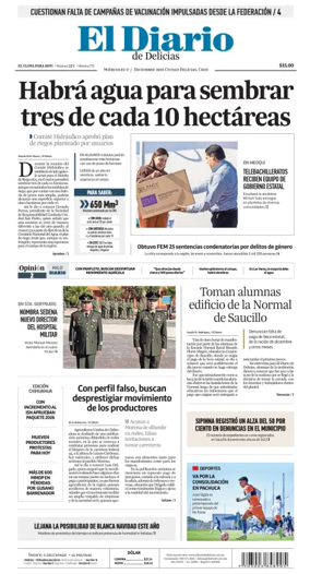 Cover of El Diario de Delicias