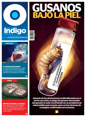 Cover of Reporte Indigo Nacional