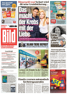 Cover of BILD Mecklenburg