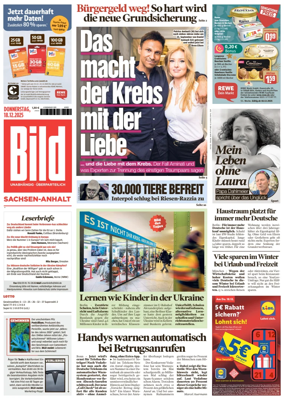 Cover of BILD Sachsen-Anhalt
