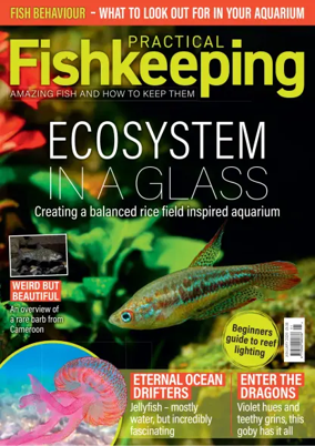 Cover of Practical Fishkeeping