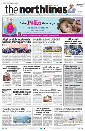 Cover of The Northlines