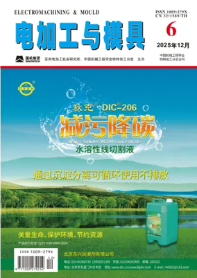 Cover of Electromachining and Mould