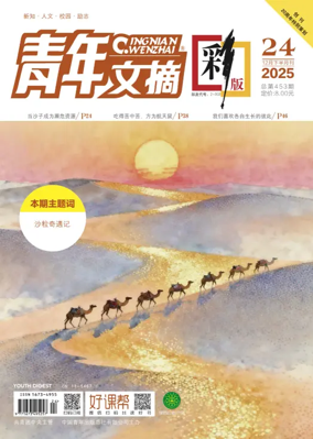 Cover of Youth Digest Full Color Edition