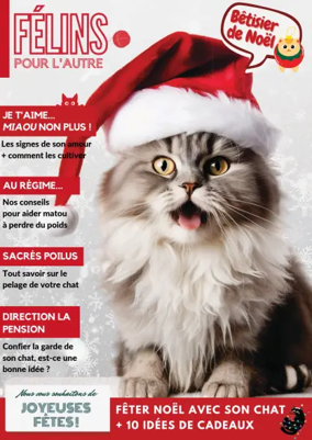 Cover of Félins pour l'autre