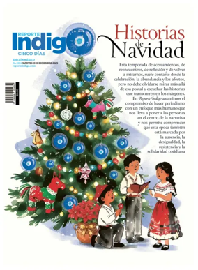Cover of Reporte Indigo Nacional