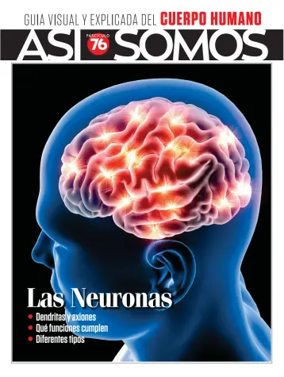 Cover of Asi Somos