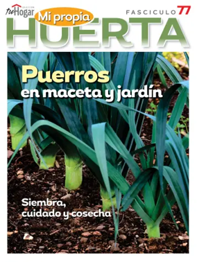 Cover of Huerta en casa
