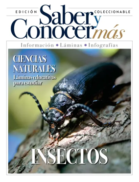 Cover of Saber y Conocer mas