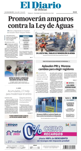 Cover of El Diario de Delicias