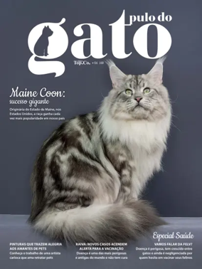 Cover of Pulo do gato