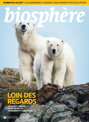 Cover of Biosphere