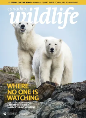 Cover of Canadian Wildlife