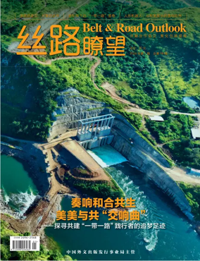 Cover of The New Silk Road Review