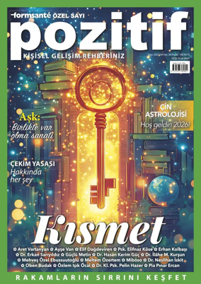 Cover of Pozitif