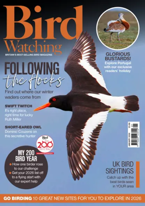 Cover of Bird Watching (UK)