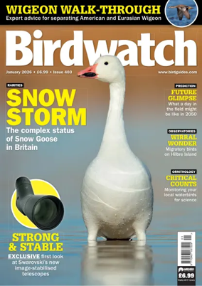 Cover of Birdwatch