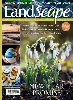 Cover of Landscape (UK)
