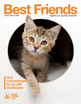 Cover of Best Friends