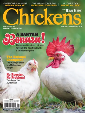 Cover of Chickens