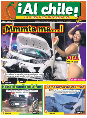 Cover of Al chile