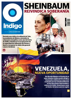 Cover of Reporte Indigo Nacional