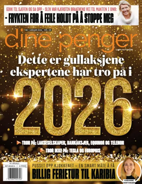 Cover of VG DINE PENGER