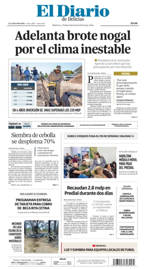 Cover of El Diario de Delicias