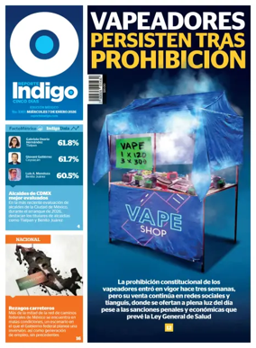 Cover of Reporte Indigo Nacional