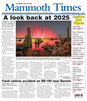 Cover of Mammoth Times