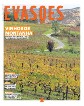 Cover of Evasões