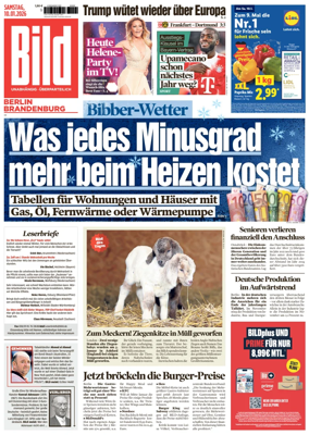 Cover of BILD Berlin-Brandenburg
