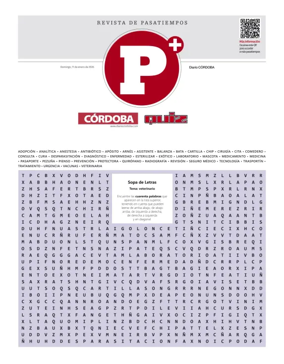 Cover of Pasatiempos