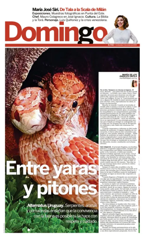 Cover of Revista domingo