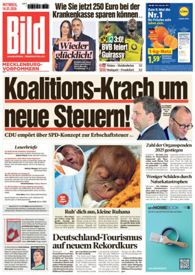 Cover of BILD Mecklenburg