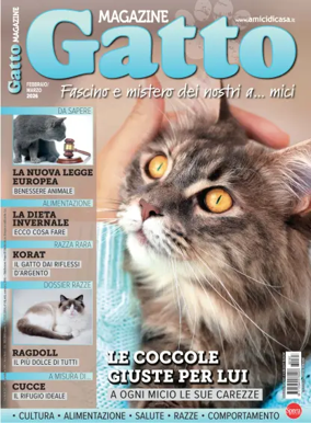 Cover of Gatto Magazine