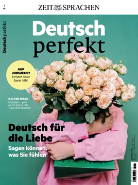 Cover of Deutsch Perfekt
