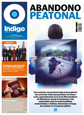 Cover of Reporte Indigo Monterrey