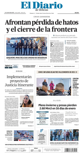 Cover of El Diario de Delicias