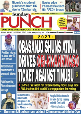 Cover of Sunday Punch