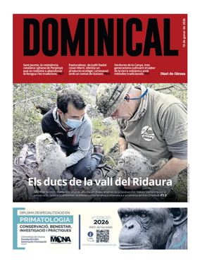 Cover of Dominical
