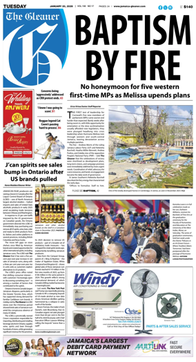 Cover of The Gleaner